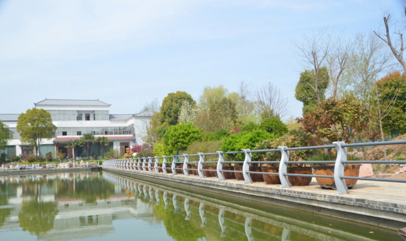 首页>焦点图>杨西村,曾是白龟山水库下游一个偏僻的小村庄,没有产业