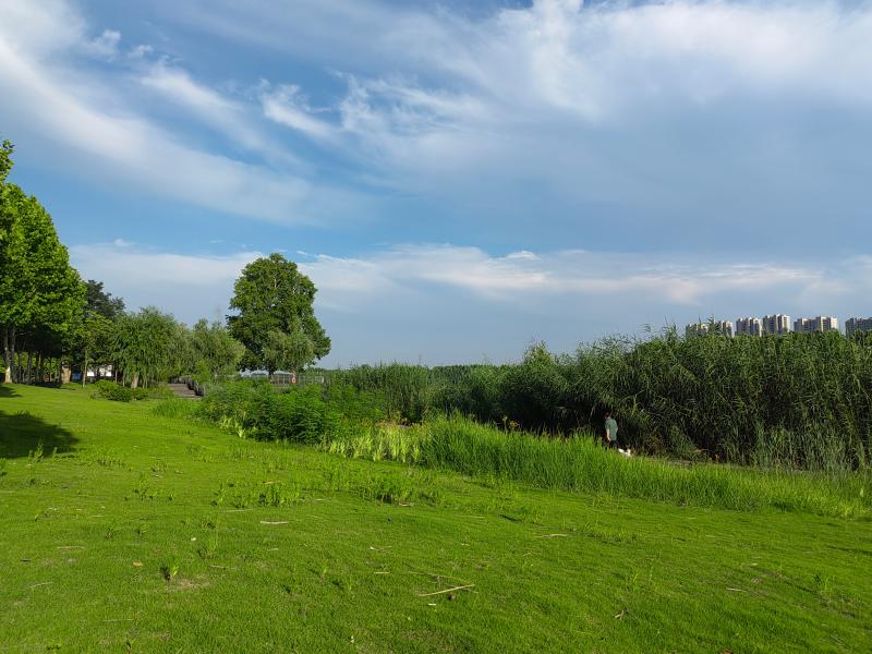 周口植物园纳凉好去处