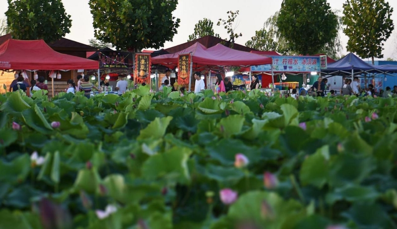 驻马店平舆生态颜值变经济产值