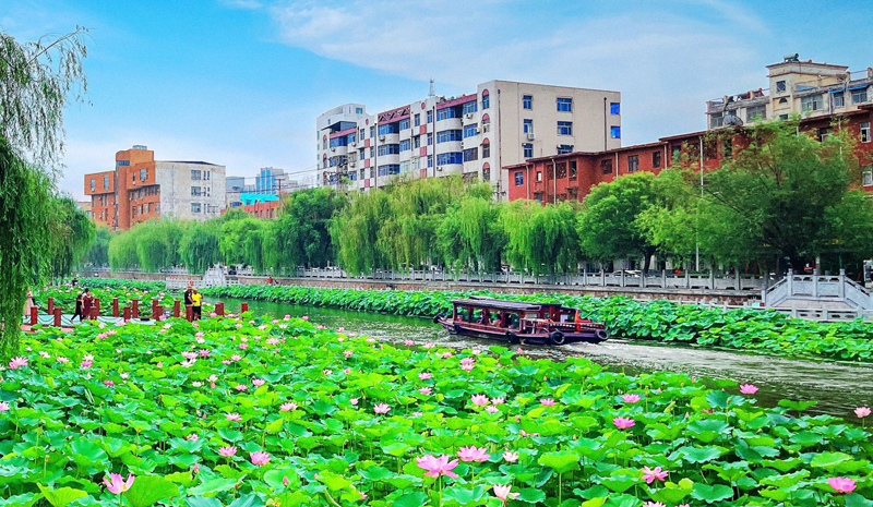 水韵莲城入画来